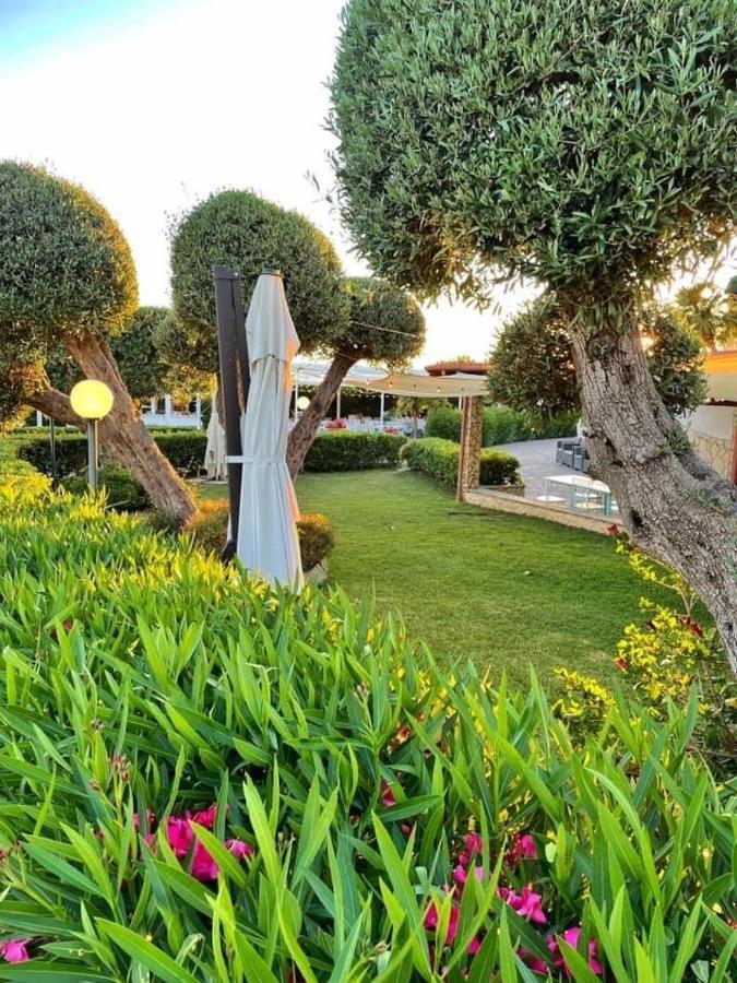 Villalessandra チビタベッキア エクステリア 写真